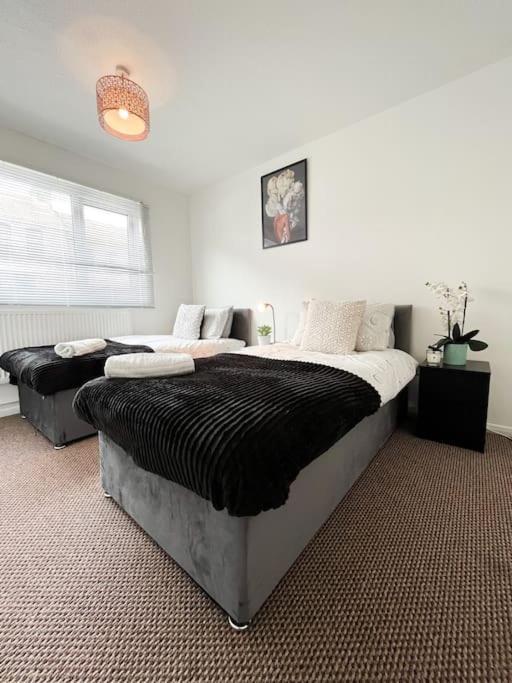 3 Bedroom House With Free Parking Chatham  Exterior photo